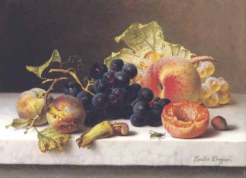 Johann Wilhelm Preyer Grapes peaches and plums on a marble ledge